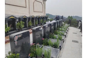 龙居山陵园，文明殡葬