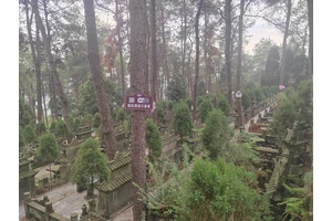 龙居山陵园贴心售后服务